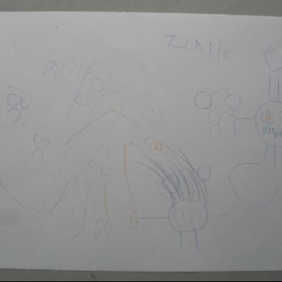Pink - Zakir (5)